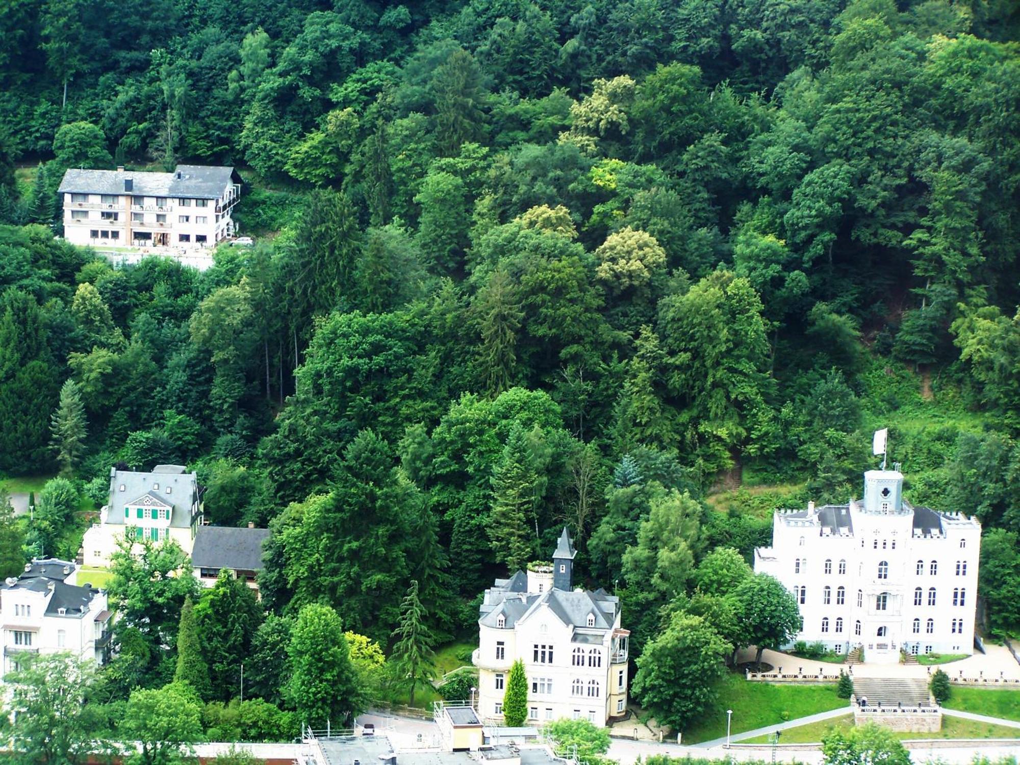 Ferienwohnung "Villa Alexander" 4 Dtv-Sternen Neu Eroeffnung Bad Ems Luaran gambar